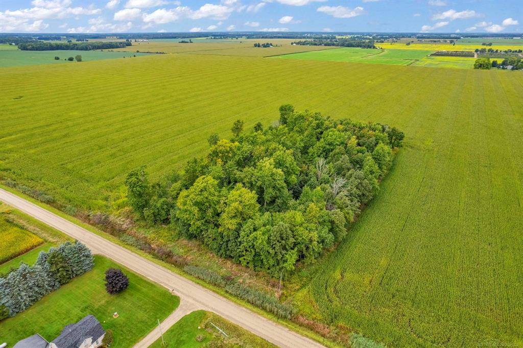 Watertown Twp, MI 48471,00 Walker Road