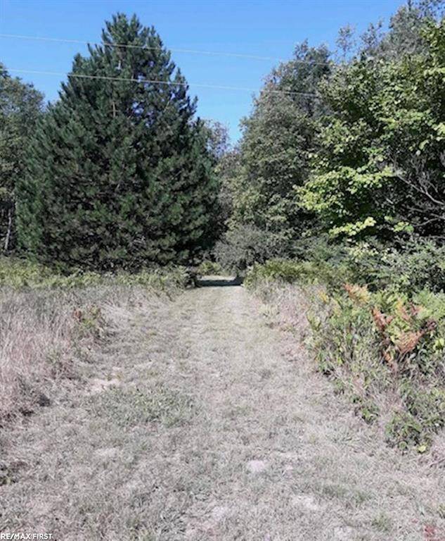 Hay Twp, MI 48612,Lot 13 Fournier Road