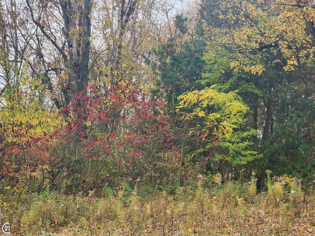 Berlin Twp, MI 48002,0 Mill Street