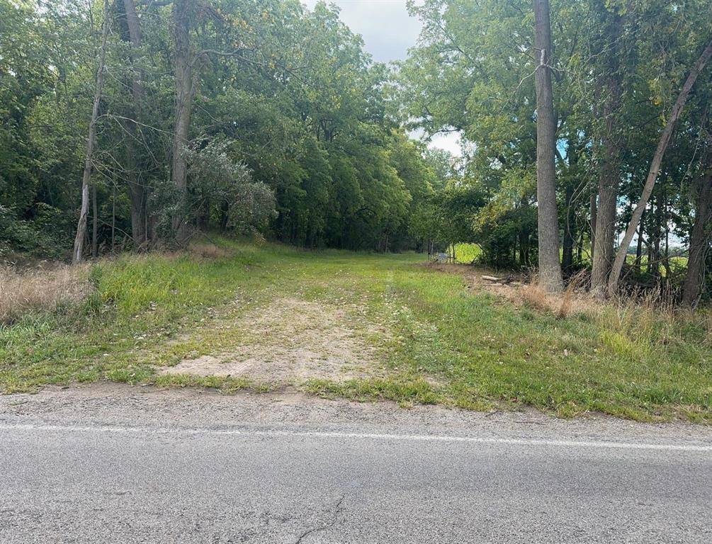 Summerfield Twp, MI 49238,0 Deerfield Road