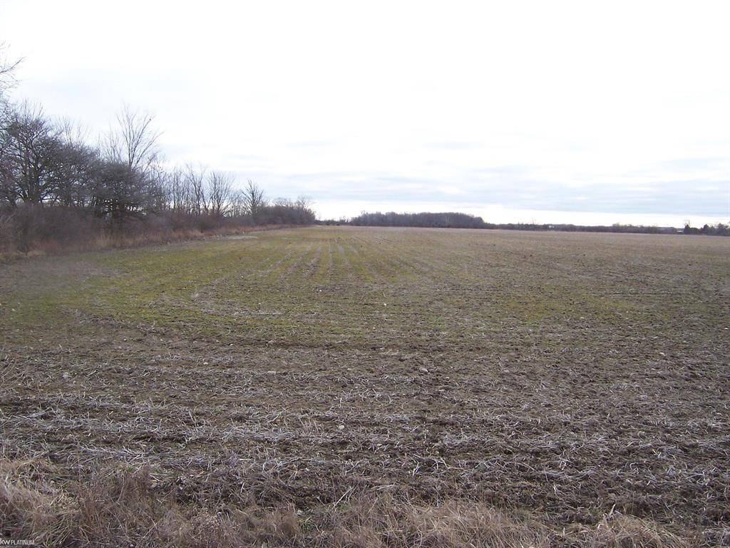 Columbus Twp, MI 48063,Lot B Stoddard Road