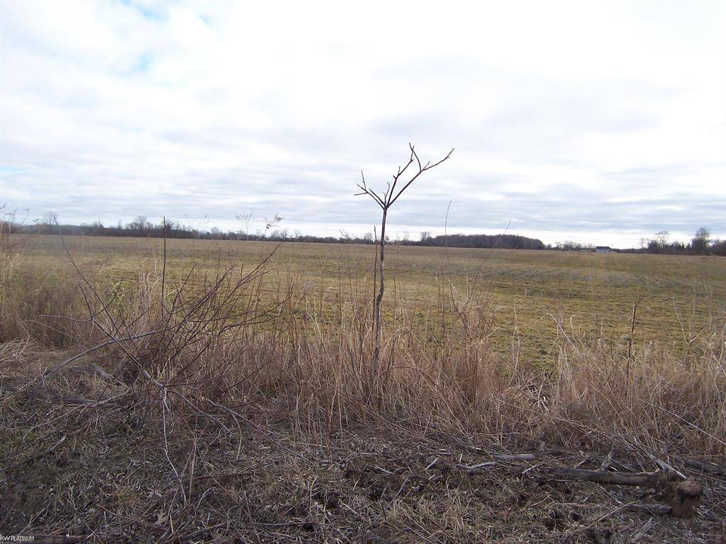 Columbus Twp, MI 48063,Lot E Stoddard Rd Road