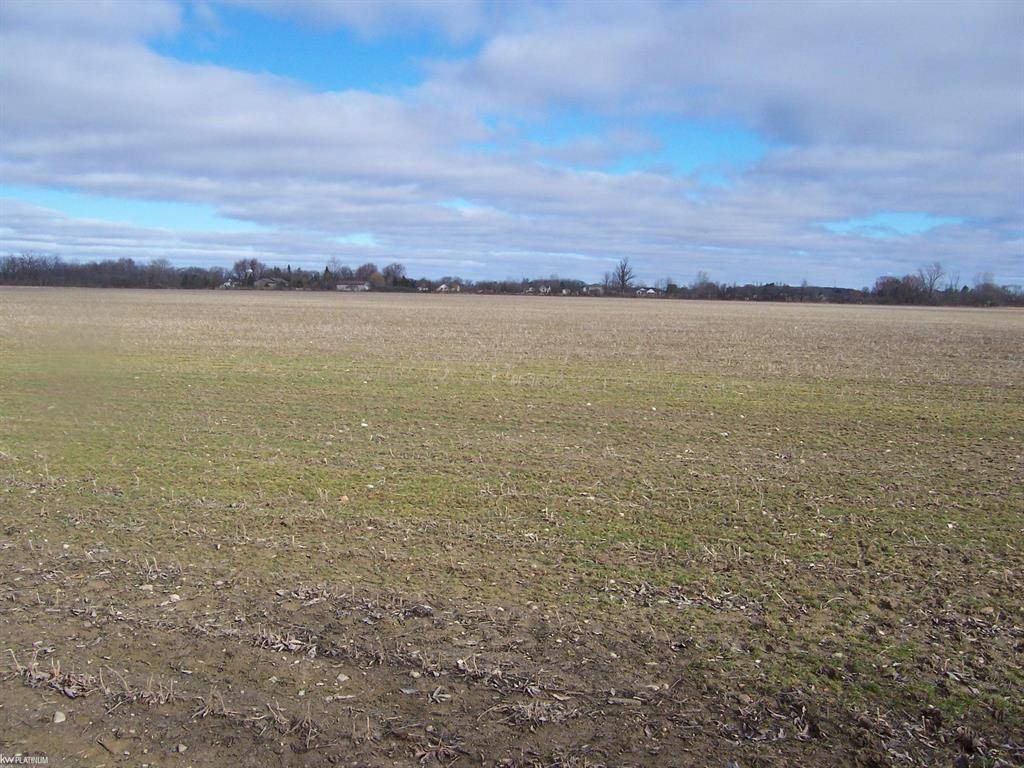 Columbus Twp, MI 48063,Lot H Carroll Rd Road