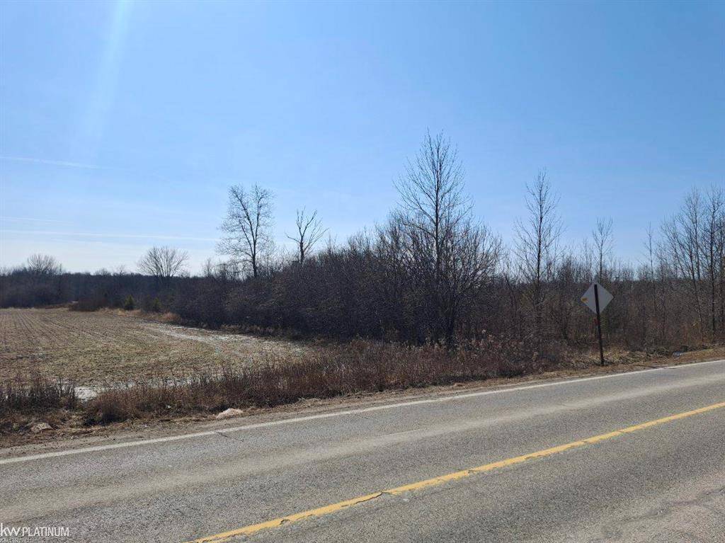 Brockway Twp, MI 48097,00 Yale Road