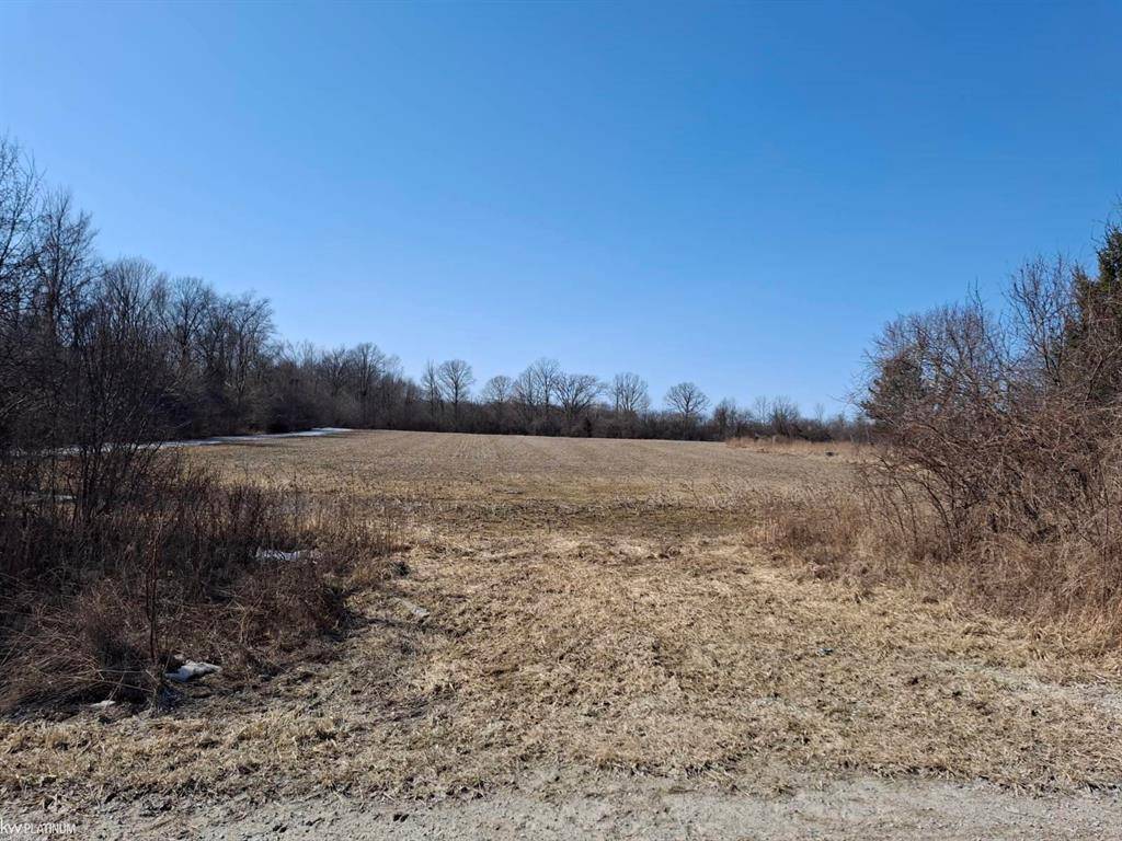 Brockway Twp, MI 48097,00 Jordon Road