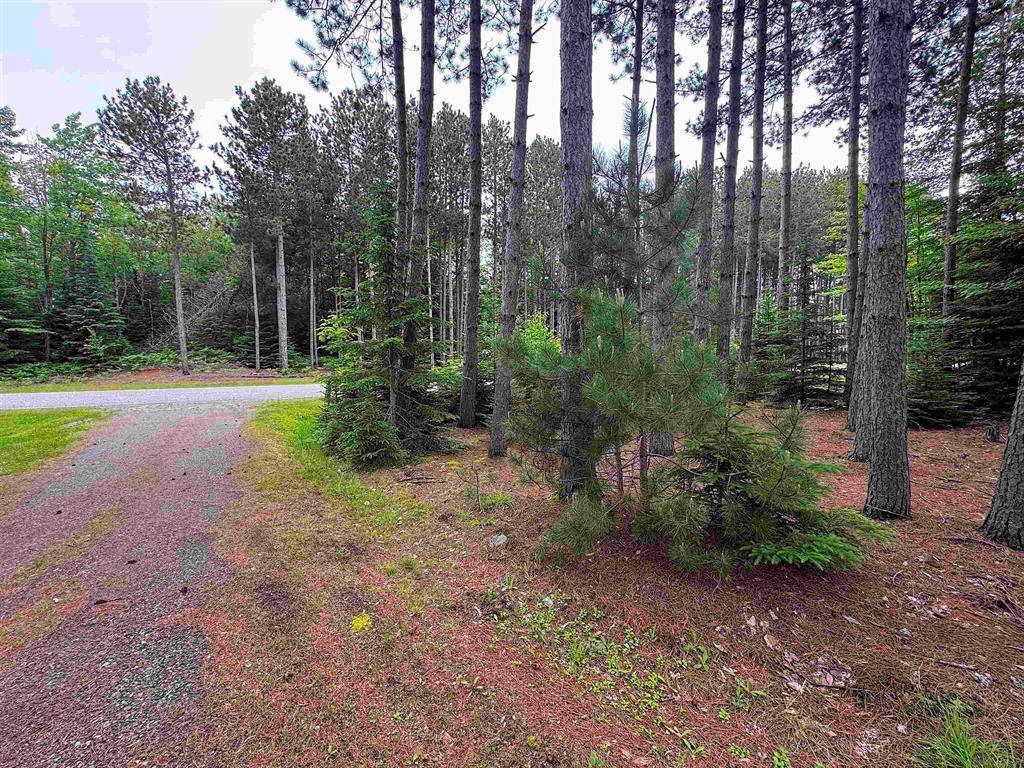 Bay Mills Twp, MI 49715,6895 W Winding Ridge Road