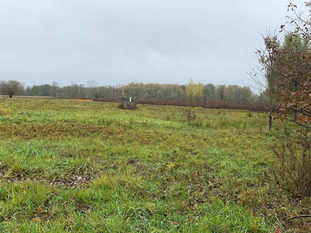 Mussey Twp, MI 48014,0 Wade Road