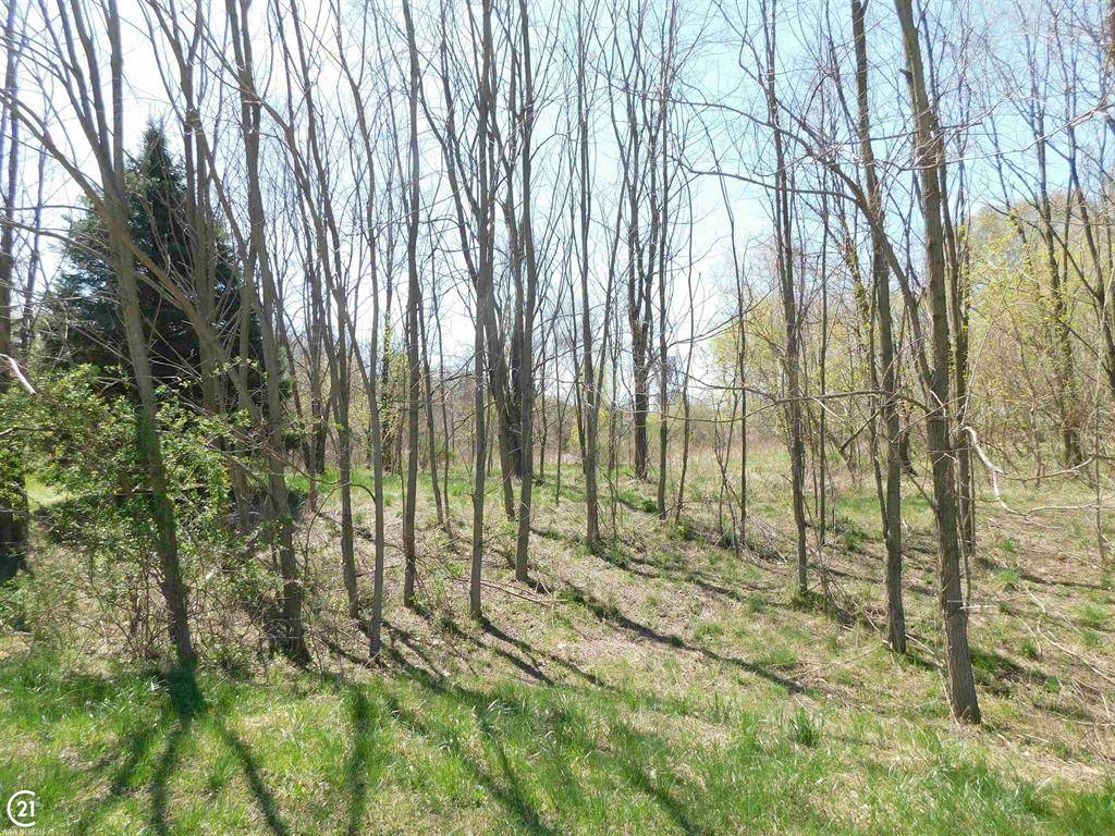Dryden Twp, MI 48428,1 Donna (#1) Lane