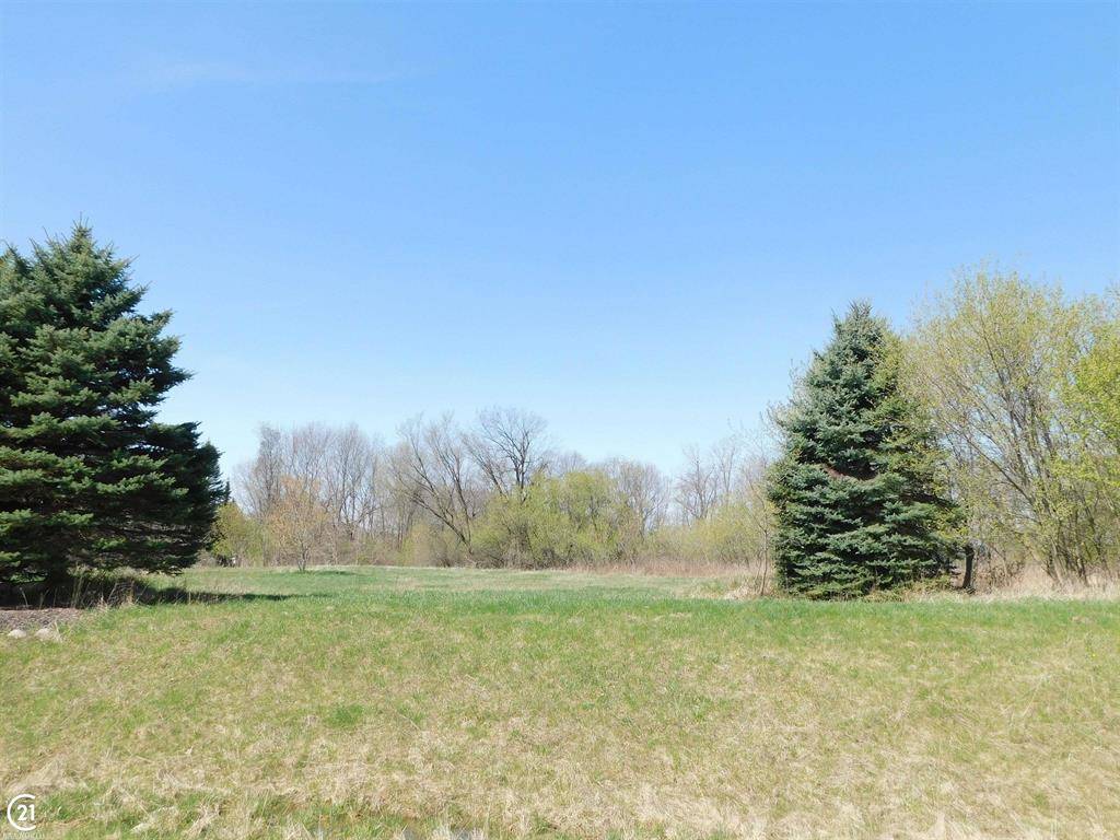 Dryden Twp, MI 48428,15 Lily Ann (#15) Lane