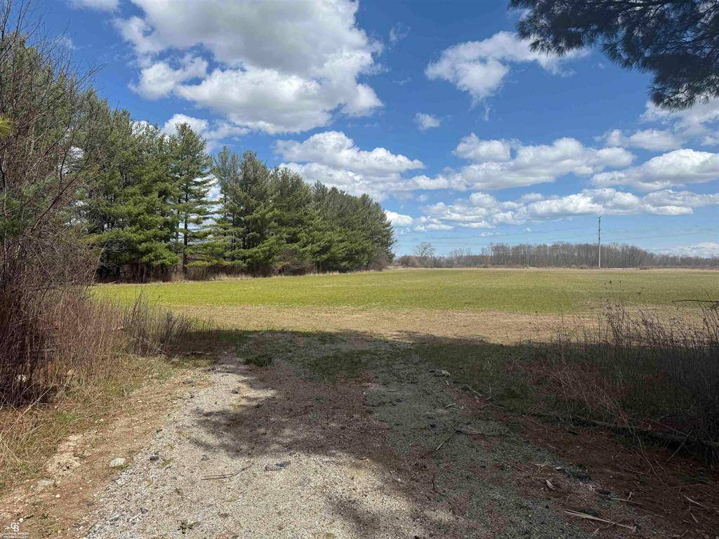 Greenwood Twp, MI 48006,VL Brown Road