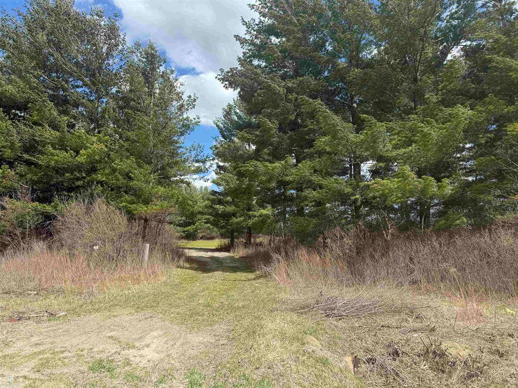Greenwood Twp, MI 48006,VL Brown Road
