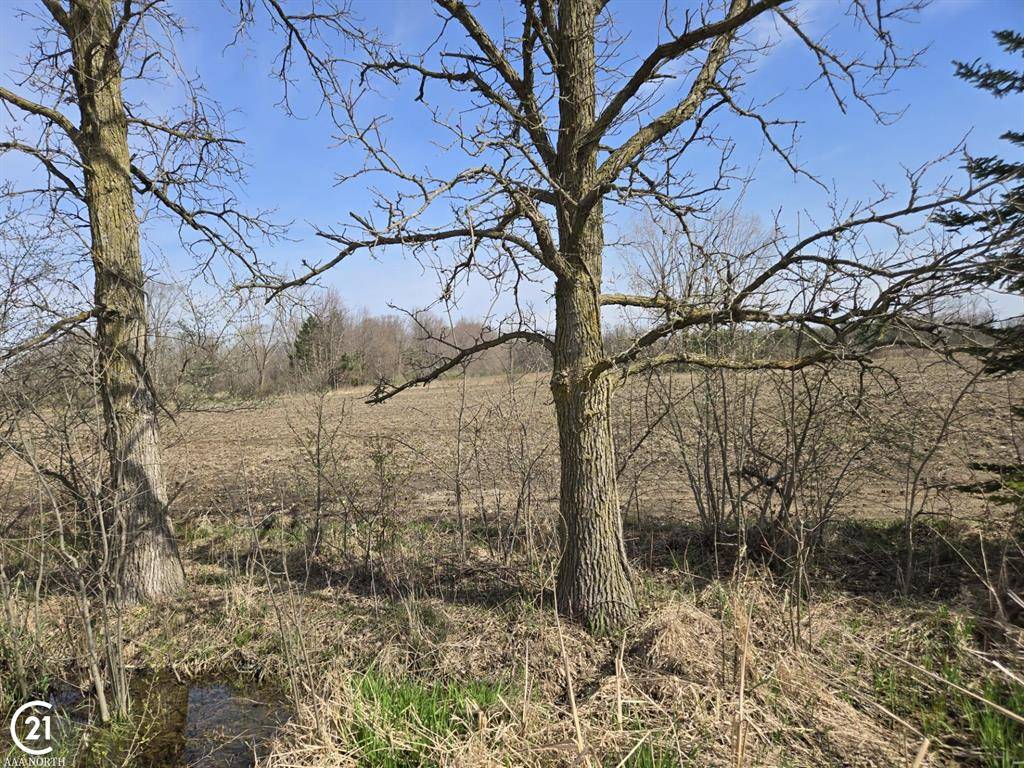 Columbus Twp, MI 48063,0 Weber (LOT C) Road