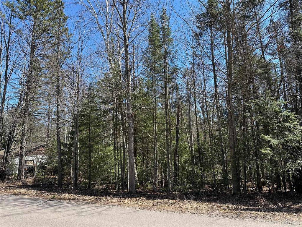 Ely Twp, MI 49849,3007 Co Rd CD Road