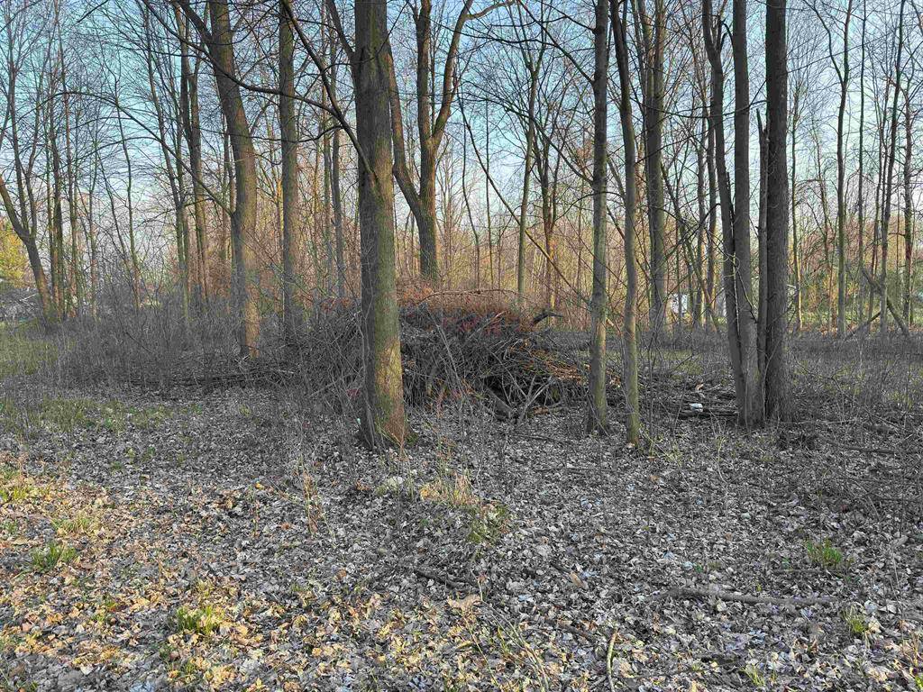 Sandusky, MI 48471,00 Bridgehampton Street