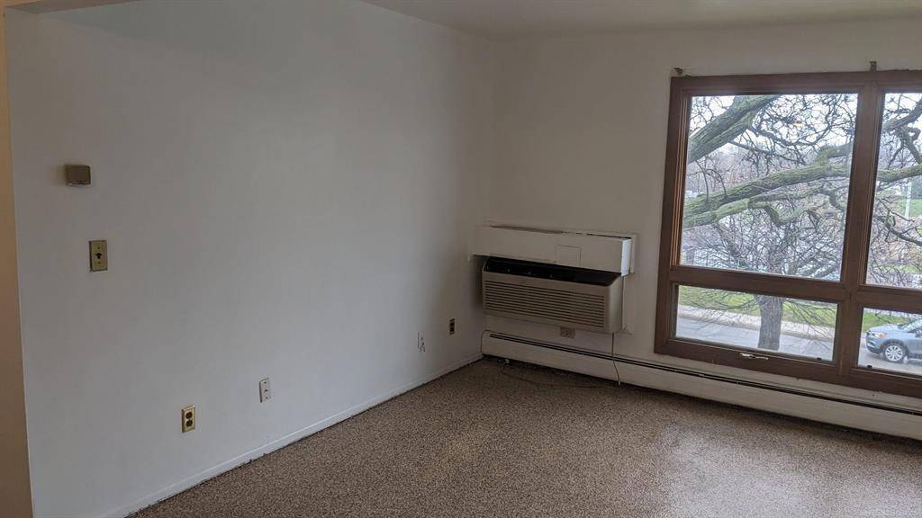 Detroit, MI 48207,1565 Cherboneau Place 60