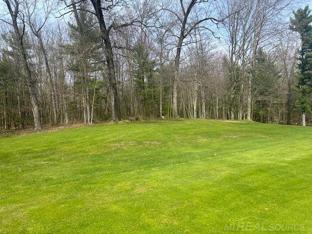 Dalton Twp, MI 49445,0 E McMillan Road