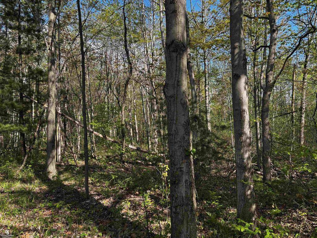 Kimball Twp, MI 48074,00 Howard Road