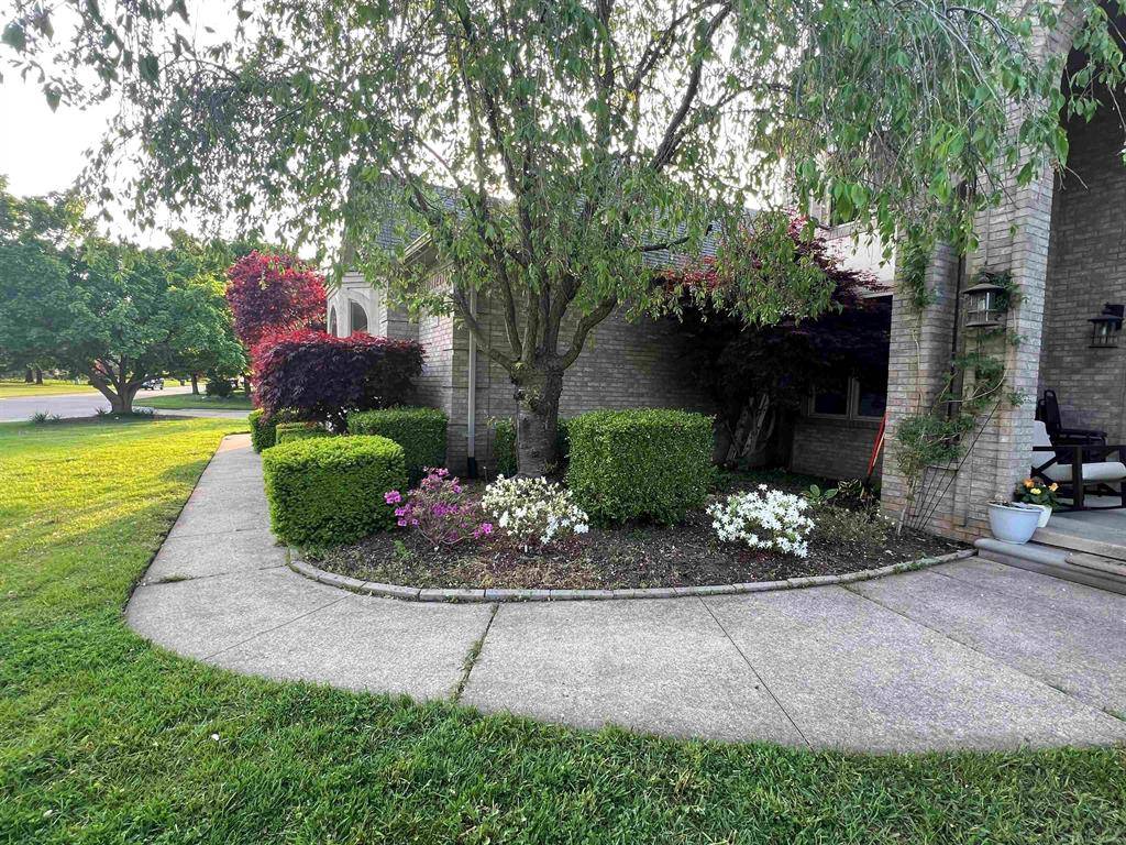 Shelby Twp, MI 48316,53641 Buckingham Lane