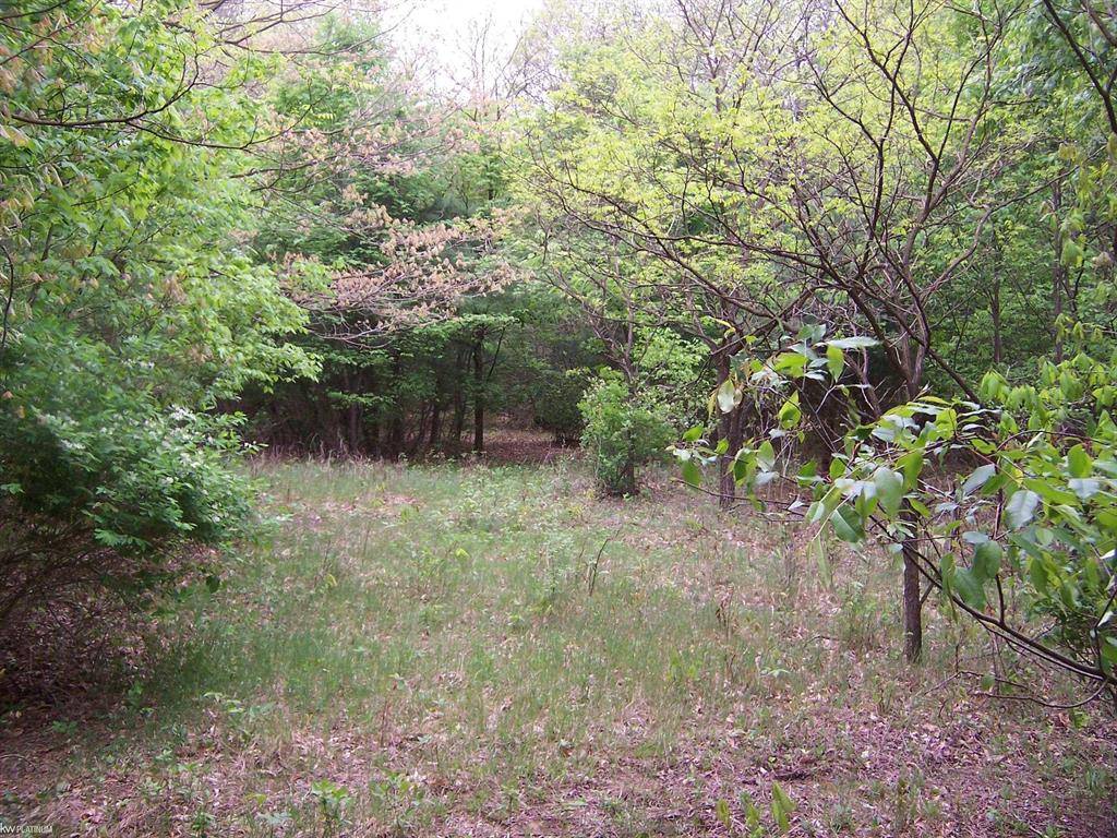 Wales Twp, MI 48027,Vacant Emerson Road