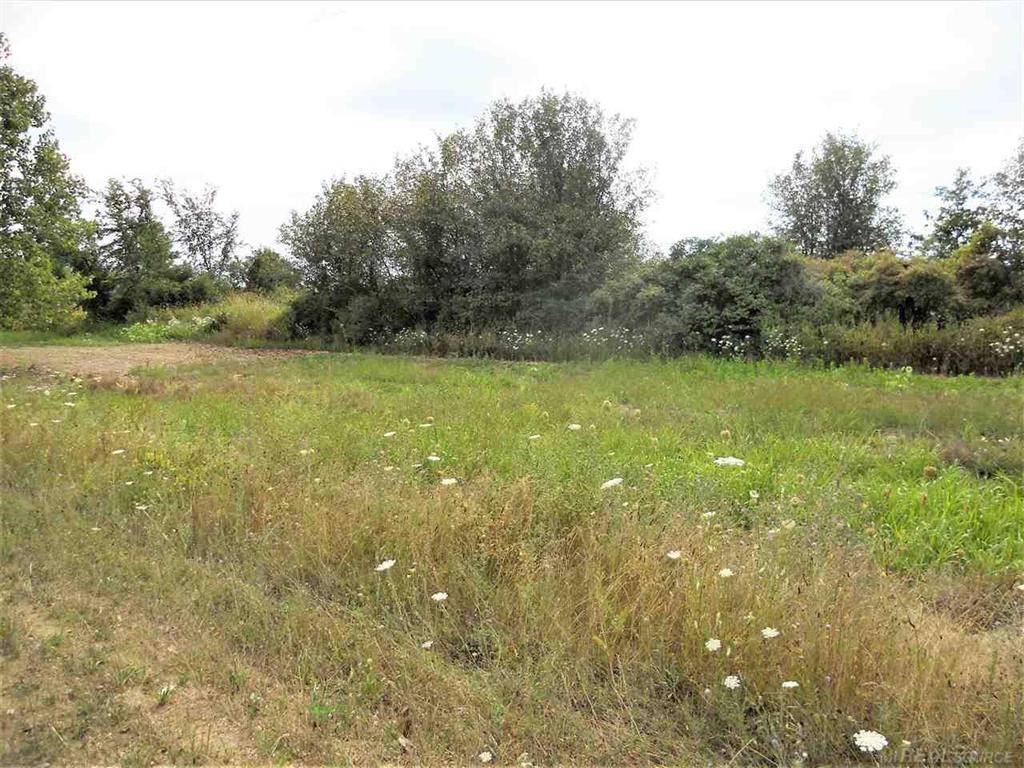Imlay Twp, MI 48444,0 WINDMILL Lane