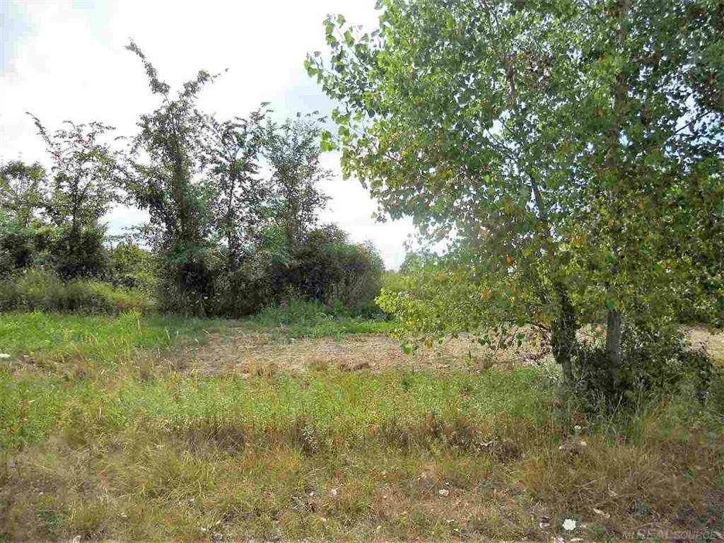 Imlay Twp, MI 48444,0 WINDMILL Lane