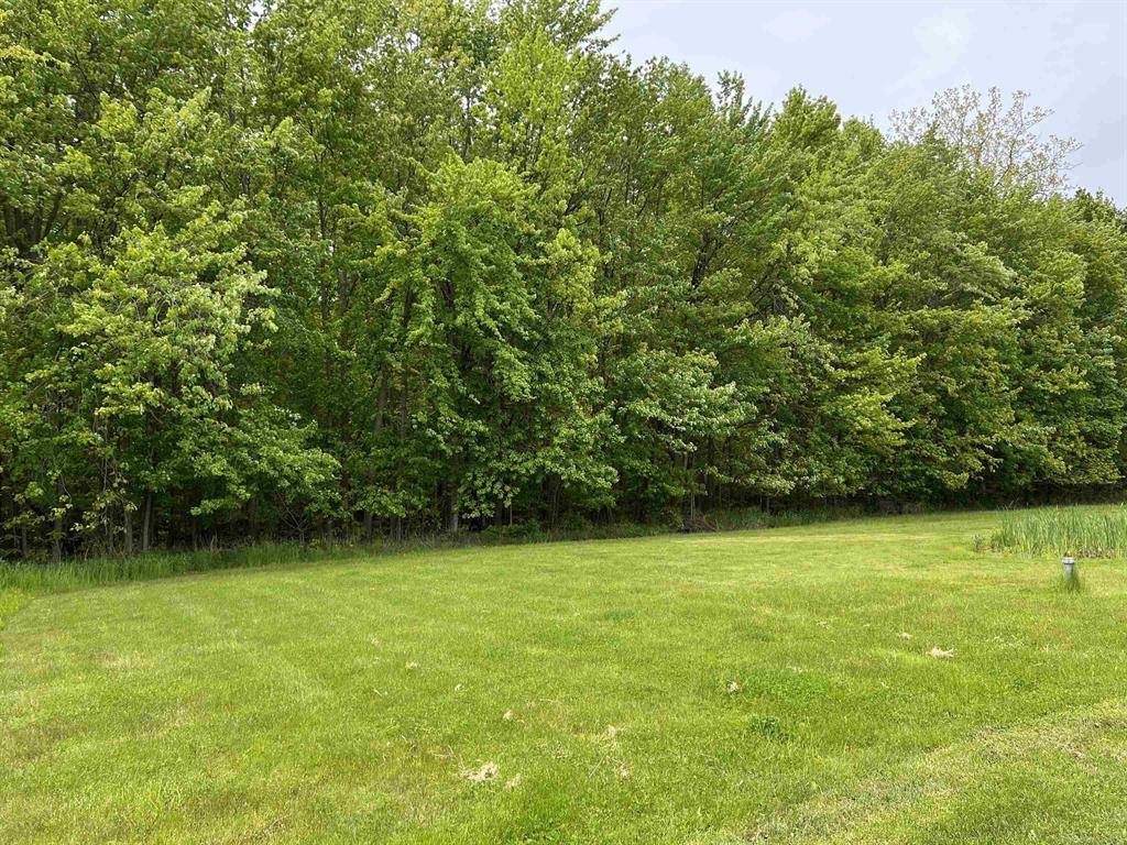Wales Twp, MI 48027,815 Cove Road