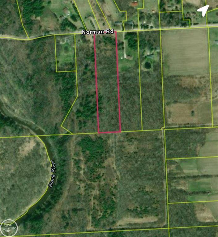 Grant Twp, MI 48032,VL Norman Road