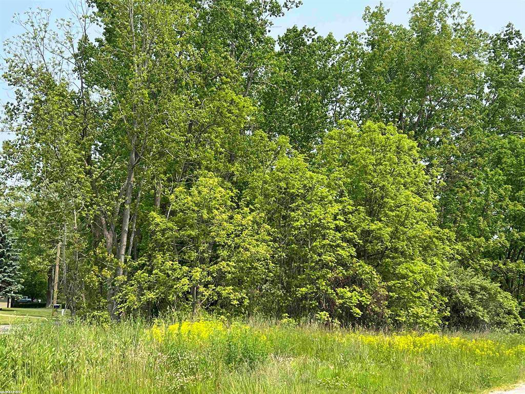 East China Twp, MI 48054,0 Walnut Drive
