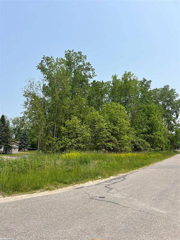 East China Twp, MI 48054,0 Walnut Drive