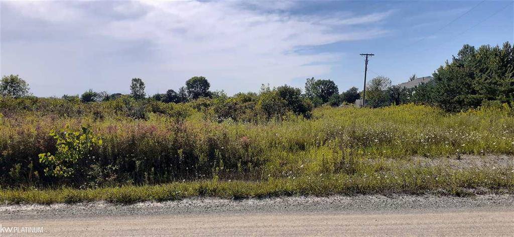 Riley Twp, MI 48041,2969 Reeves Road