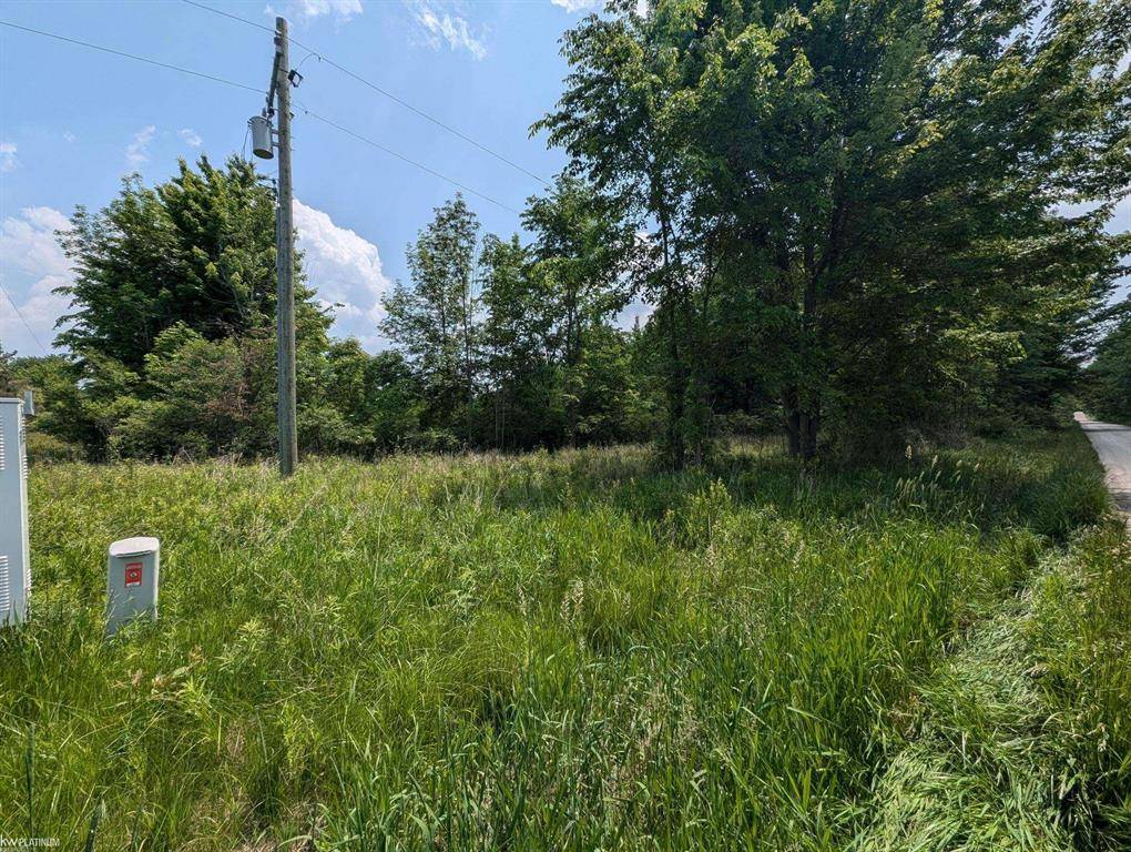 Wales Twp, MI 48027,2740 Fox Rd Road