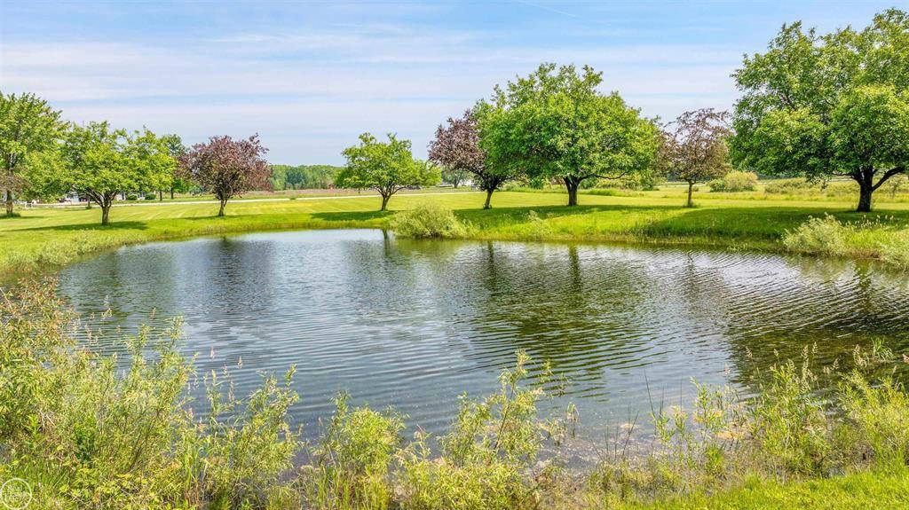 Berlin Twp, MI 48002,13533 Hough Road