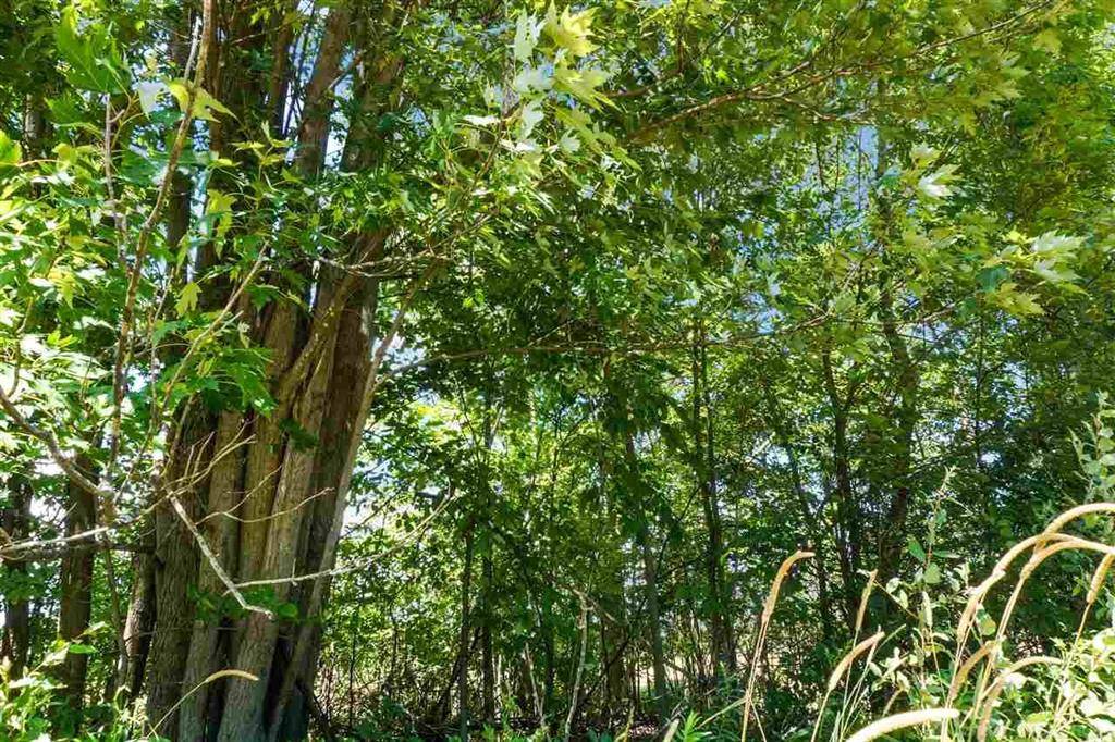 Maple Valley Twp, MI 48454,0000 Galbraith Line Road