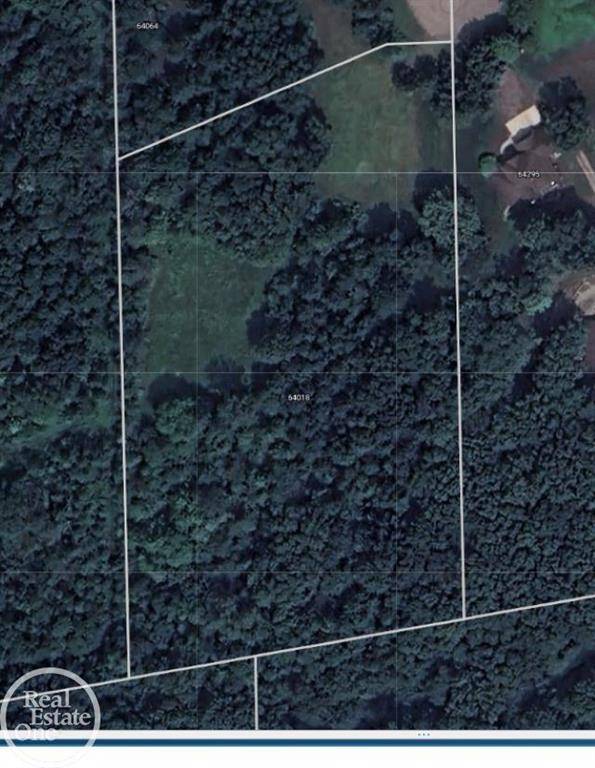 Washington Twp, MI 48095,64018 Miller Road
