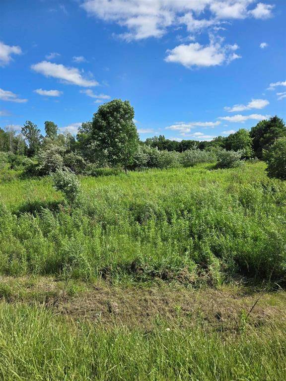 Washington Twp, MI 48419,VL Washington Road
