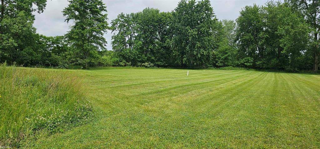 Capac Vlg, MI 48014,0 Church St. Parcel C Street