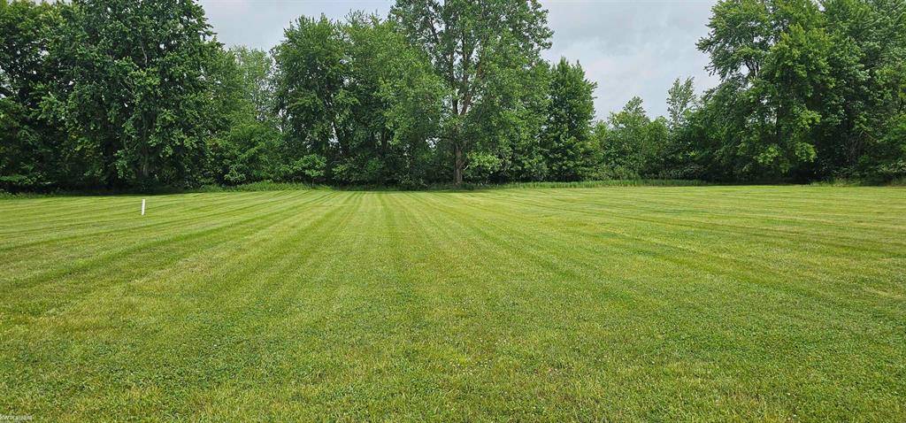 Capac Vlg, MI 48014,0 Church St. Parcel D Street