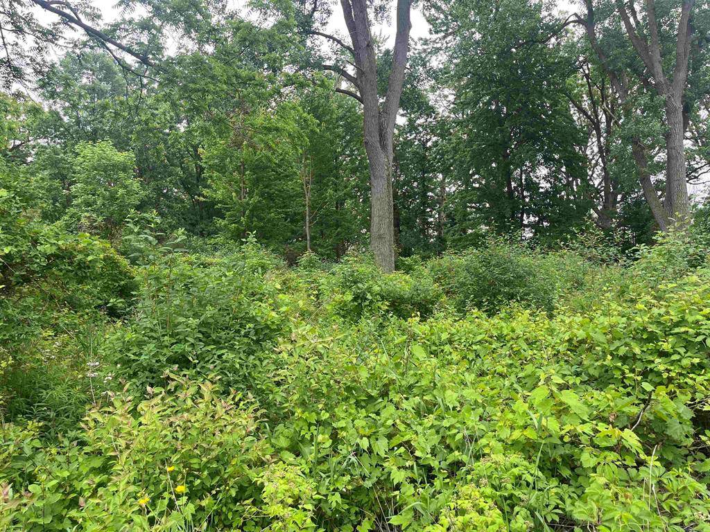 Clay Twp, MI 48001,0 Russell