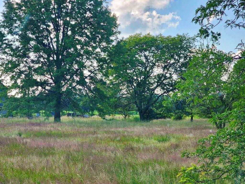 Casco Twp, MI 48064,Vacant Springborn Road