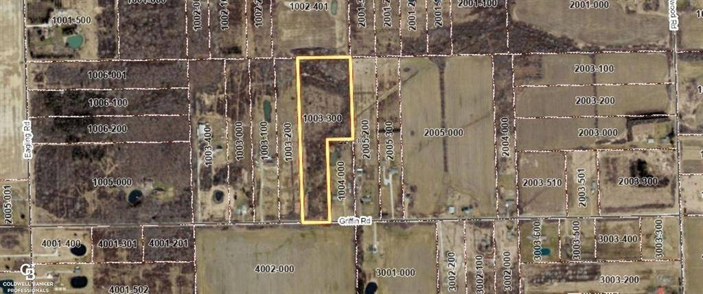 Riley Twp, MI 48041,12274 Griffin Road