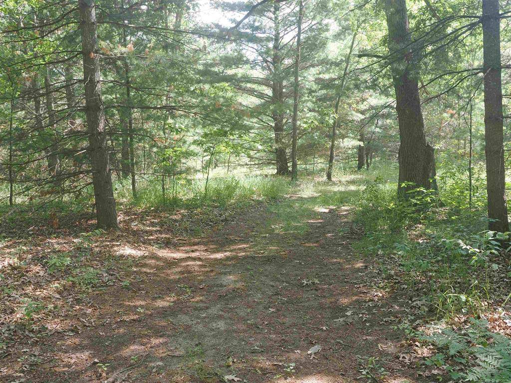 Lyon Twp, MI 48627,XXX Birch Road