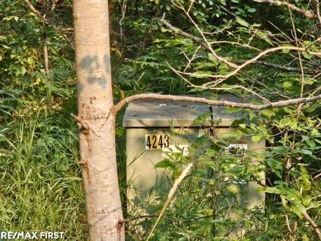 Beaver Creek Twp, MI 48653,0 Pocahontas Trail Unit 6