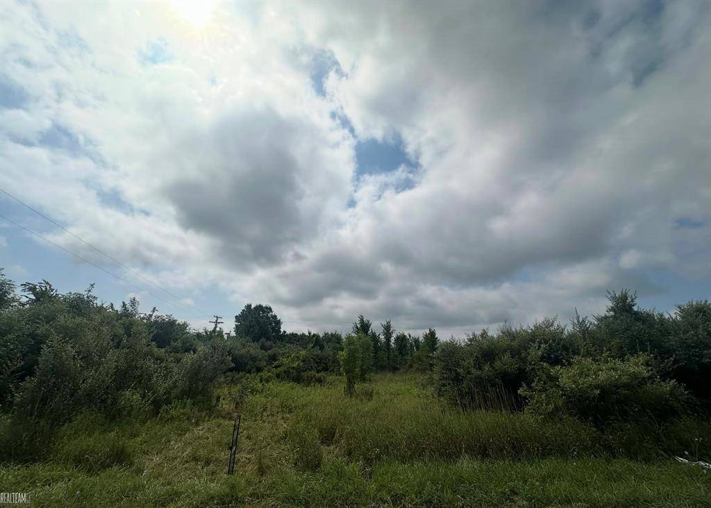 Capac Vlg, MI 48014,0 Petz Road
