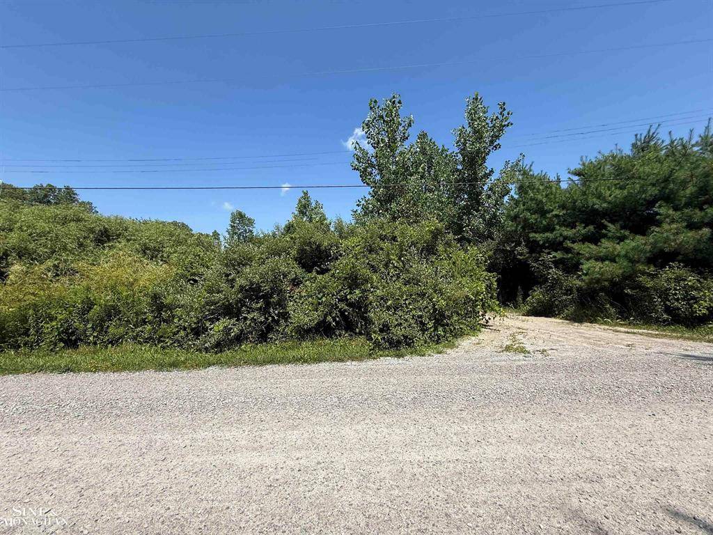Port Huron Twp, MI 48060,0 Wall Road
