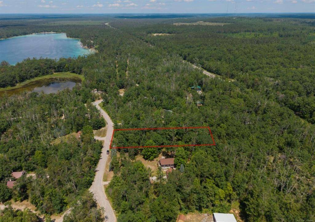 Montmorency Twp, MI 49709,TBD Barberry Road