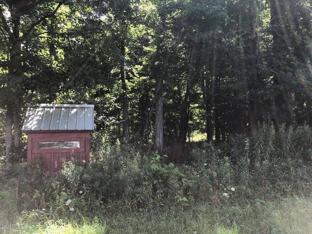 Ferris Twp, MI 48891,PAR A PINE GROVE RD