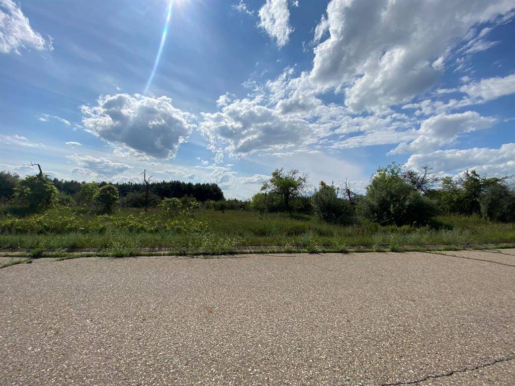Essex Twp, MI 48879,8095 Mcintosh Road