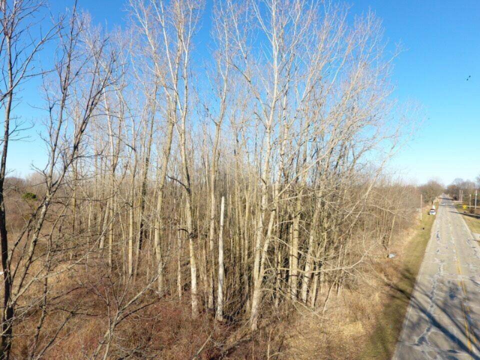 Maple Rapids Vlg, MI 48853,TBD E Main Street