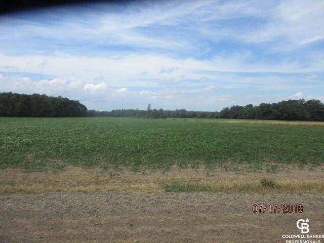 Owosso Twp, MI 48867,Vacant Land Wildermuth Road Owosso