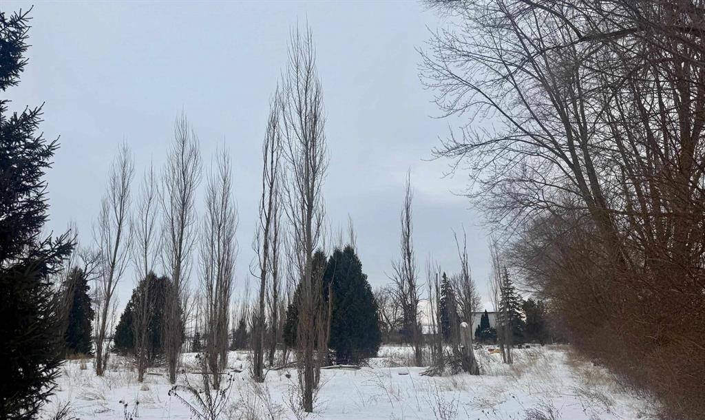 Buena Vista Twp, MI 48601,3810 Janes Road